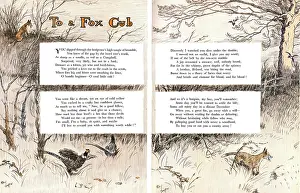 Pheasants: Illustration by Cecil Aldin, Forty Fine Ladies