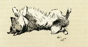 Obedience: Illustration by Cecil Aldin, fox terrier posing as model
