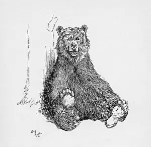 Aldin: Illustration by Cecil Aldin, The Grizzly Bear