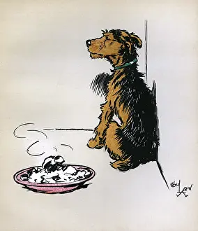 Distressed: Illustration by Cecil Aldin, Jack and Jill