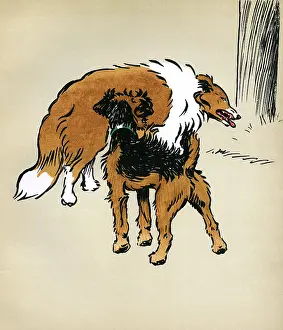 Confronting: Illustration by Cecil Aldin, Jack and Jill