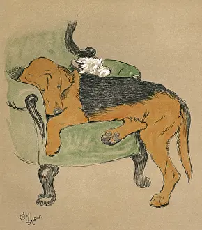 Squash: Illustration by Cecil Aldin, Mac
