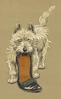Slipper: Illustration by Cecil Aldin - Mac
