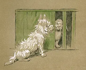 Timid: Illustration by Cecil Aldin, Mac
