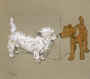 Scottie: Illustration by Cecil Aldin, Mac