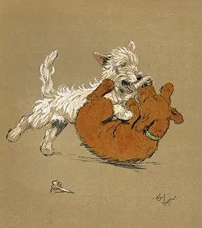 Scottie: Illustration by Cecil Aldin, Mac