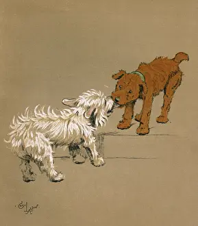 Rivals: Illustration by Cecil Aldin, Mac