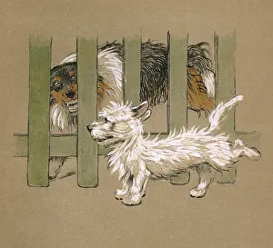 Scottie: Illustration by Cecil Aldin, Mac
