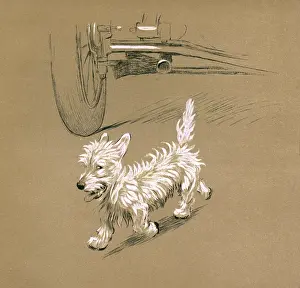 Walkies: Illustration by Cecil Aldin, Mac