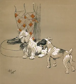 Scottie: Illustration by Cecil Aldin, Mac