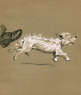 Trot: Illustration by Cecil Aldin, Mac