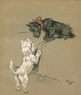 Scottie: Illustration by Cecil Aldin, Mac