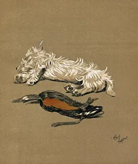 Slipper: Illustration by Cecil Aldin, Mac