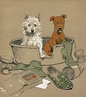 Slipper: Illustration by Cecil Aldin, Mac