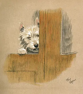 Scottie: Illustration by Cecil Aldin, Mac