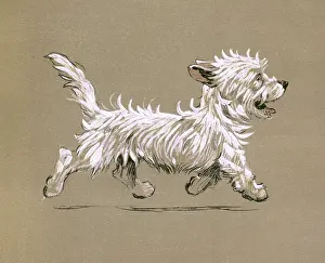 Trot: Illustration by Cecil Aldin, Mac