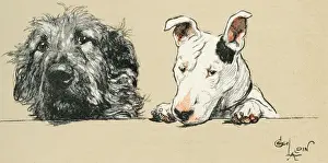 Wolfhound: Illustration by Cecil Aldin, Micky and Cracker