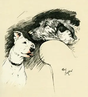 Wolfhound: Illustration by Cecil Aldin, Micky and Cracker