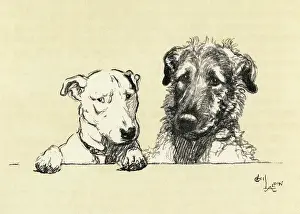 Illustration by Cecil Aldin, Micky and Cracker