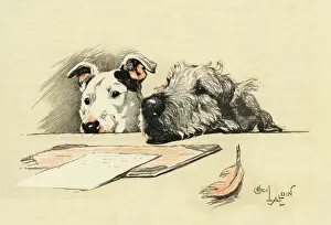 Wolfhound: Illustration by Cecil Aldin, Micky and Cracker