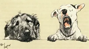 Bored: Illustration by Cecil Aldin, Micky and Cracker