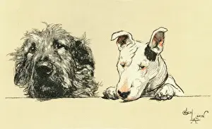 Wolfhound: Illustration by Cecil Aldin, Micky and Cracker