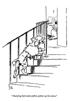 Poodles: Illustration by Cecil Aldin, Moufflou, by Ouida