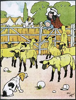 Lambs: Illustration by Cecil Aldin, My Pets and Their Ways