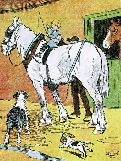 Blinkers: Illustration by Cecil Aldin, My Pets and Their Ways