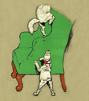 Annoyed: Illustration by Cecil Aldin, Pickles