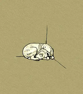 Curled: Illustration by Cecil Aldin, Pickles