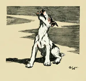 Howl: Illustration by Cecil Aldin, puppy howling