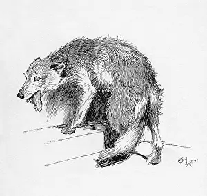 Aldin: Illustration by Cecil Aldin, The Rough Fox