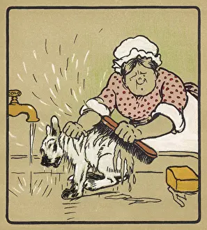 Scrubbing: Illustration by Cecil Aldin, Rough and Tumble