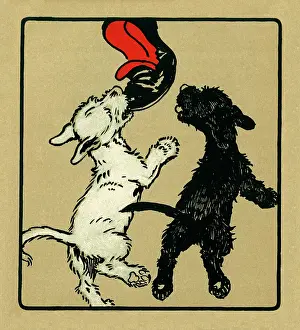 Slipper: Illustration by Cecil Aldin, Rough and Tumble