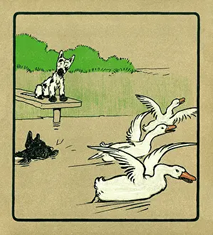 Whitewash: Illustration by Cecil Aldin, Rough and Tumble