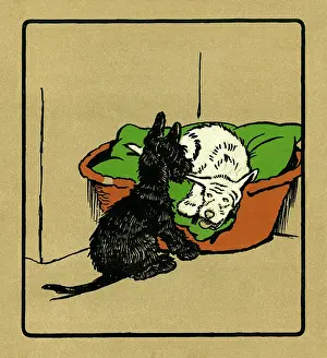 Waking: Illustration by Cecil Aldin, Rough and Tumble