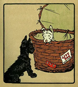 Rivals: Illustration by Cecil Aldin, Rough and Tumble