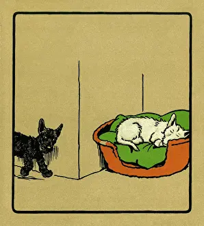Curled: Illustration by Cecil Aldin, Rough and Tumble