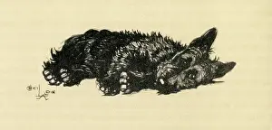Scottie: Illustration by Cecil Aldin, Scots terrier