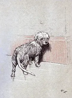 Snob: Illustration by Cecil Aldin, The Snob