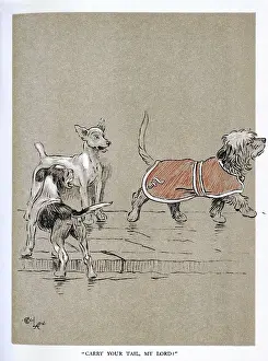 Snob: Illustration by Cecil Aldin, The Snob