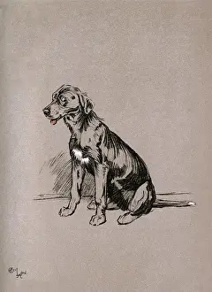 Snob: Illustration by Cecil Aldin, The Snob