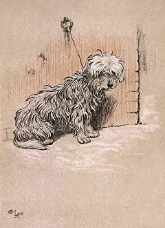 Snob: Illustration by Cecil Aldin, The Snob