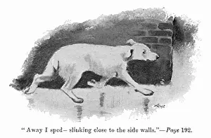 Autobiography: Illustration by Cecil Aldin, Spot escapes