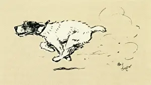 Eager: Illustration by Cecil Aldin, Tatters chasing the car