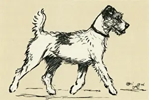 Trot: Illustration by Cecil Aldin, Tatters exploring a town