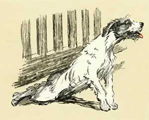 Dragging: Illustration by Cecil Aldin, terrier returning home