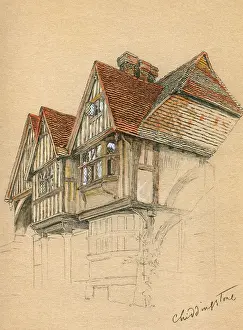 Autobiography: Illustration by Cecil Aldin, Time I Was Dead