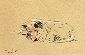 Autobiography: Illustration by Cecil Aldin, Time I Was Dead